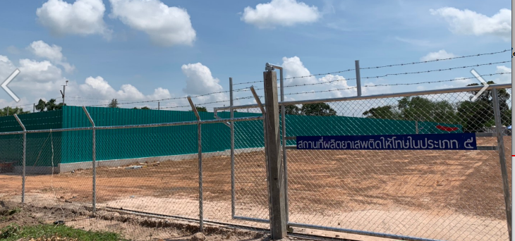 ปลูกกัญชา
